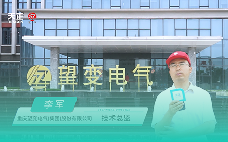 开云线上登录x望变电气